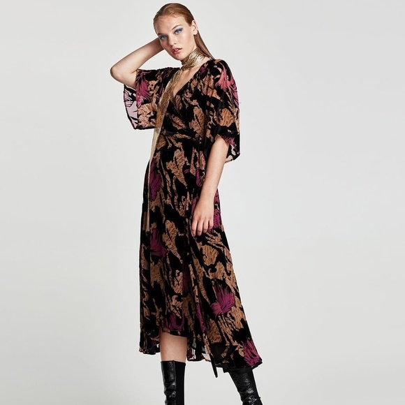 Zara Rare Devore Velvet Dress - Picture 1 of 2